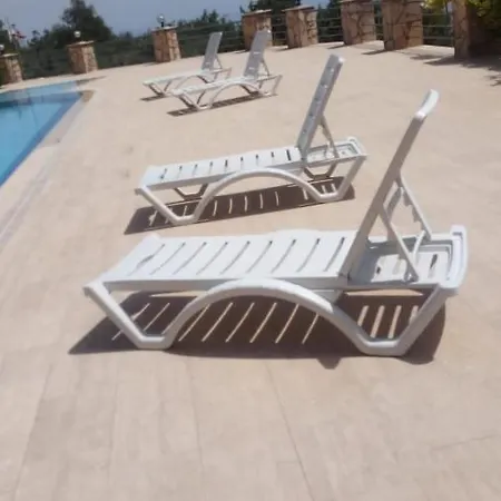 Begon Villa